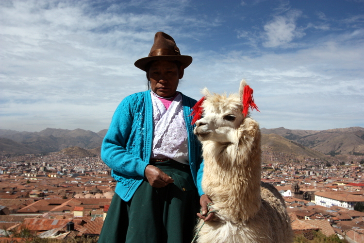 Peruvian Alpaca Lady
